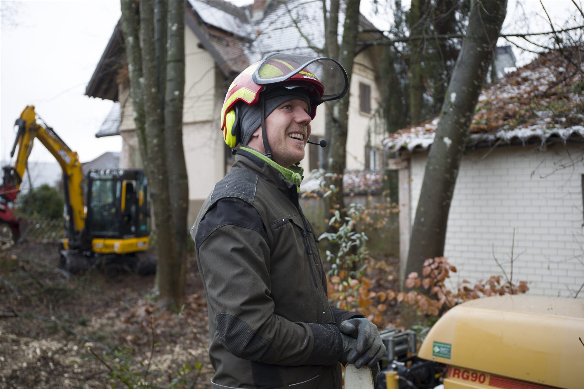 Begutachtung eines Baumes