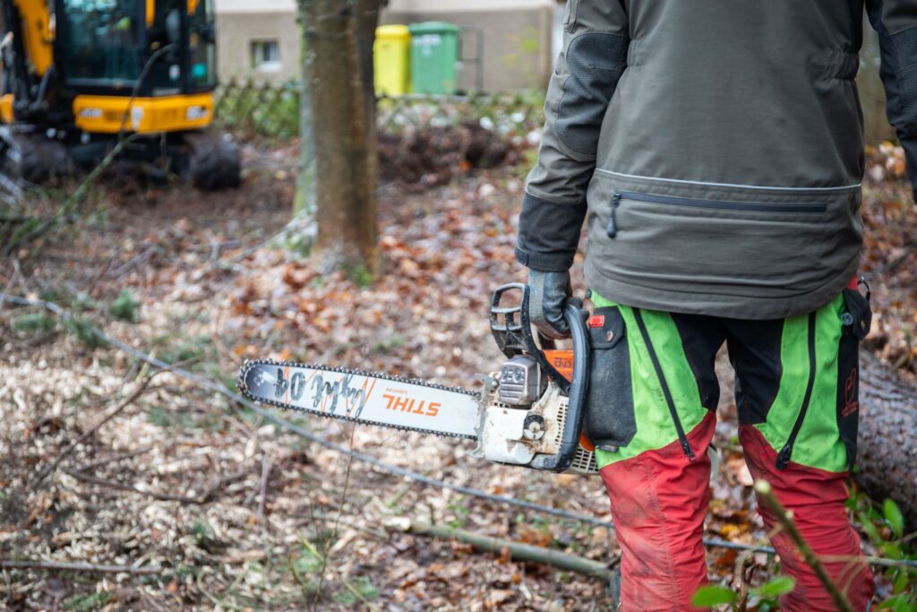 Baumpfleger von Der BaumBauer bei Fällarbeiten im herbstlichen Laub