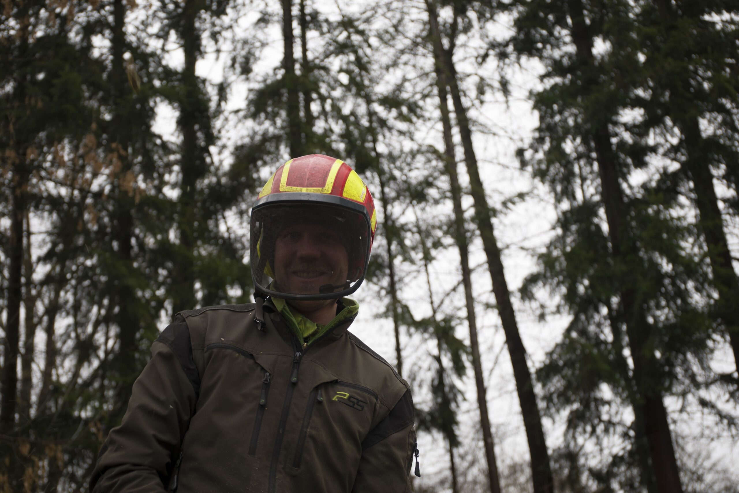 Baumpfleger von Der BaumBauer mit fachgerechter Schutzausrüstung